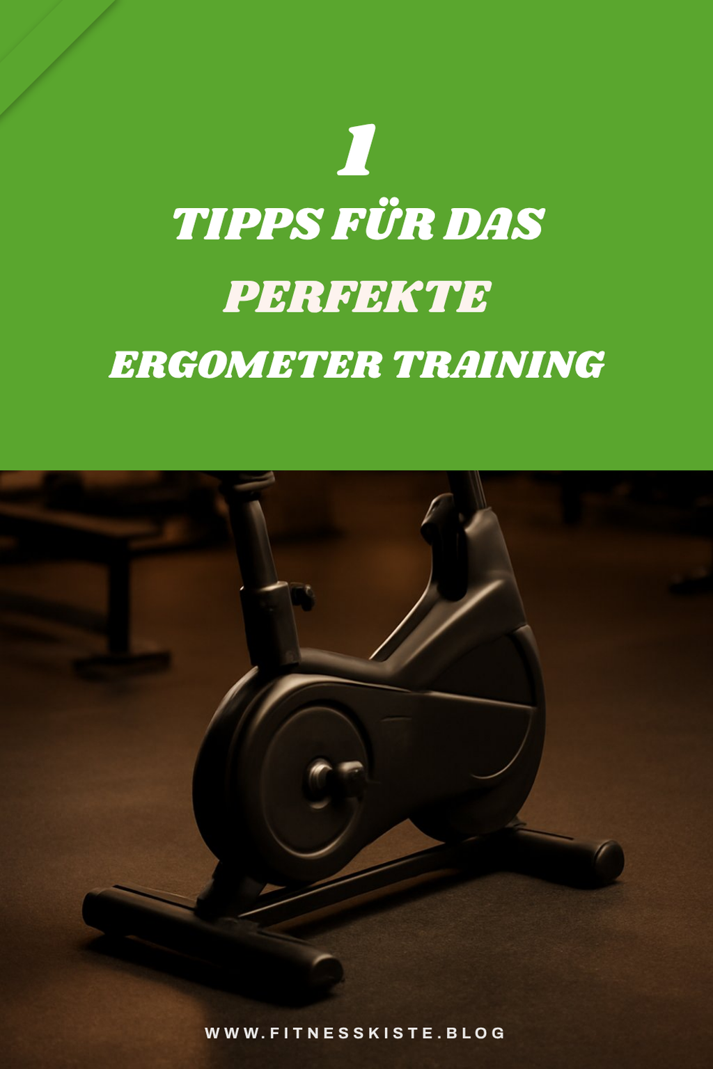 Mehr Empfehlungen aus dieser Kategorie