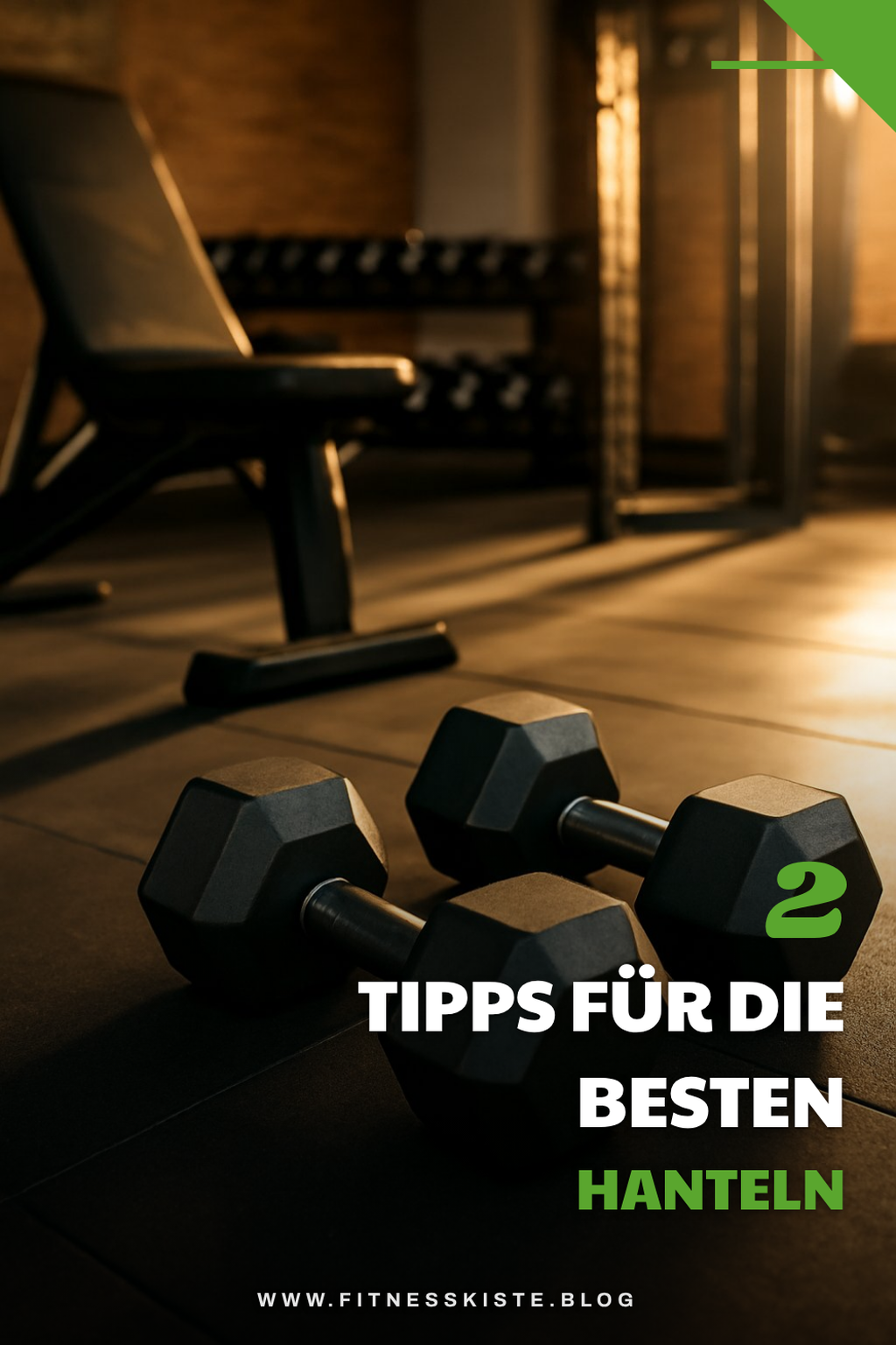 So findest du die besten Hanteln für dein Home-Gym