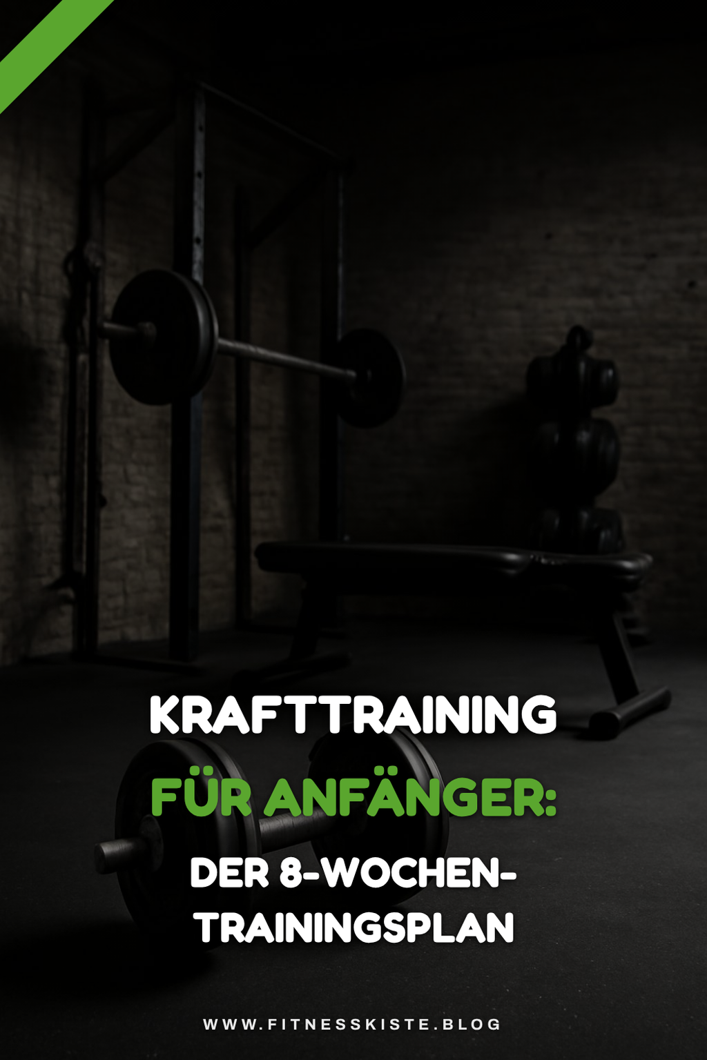 Krafttraining für Anfänger: Der 8-Wochen-Trainingsplan