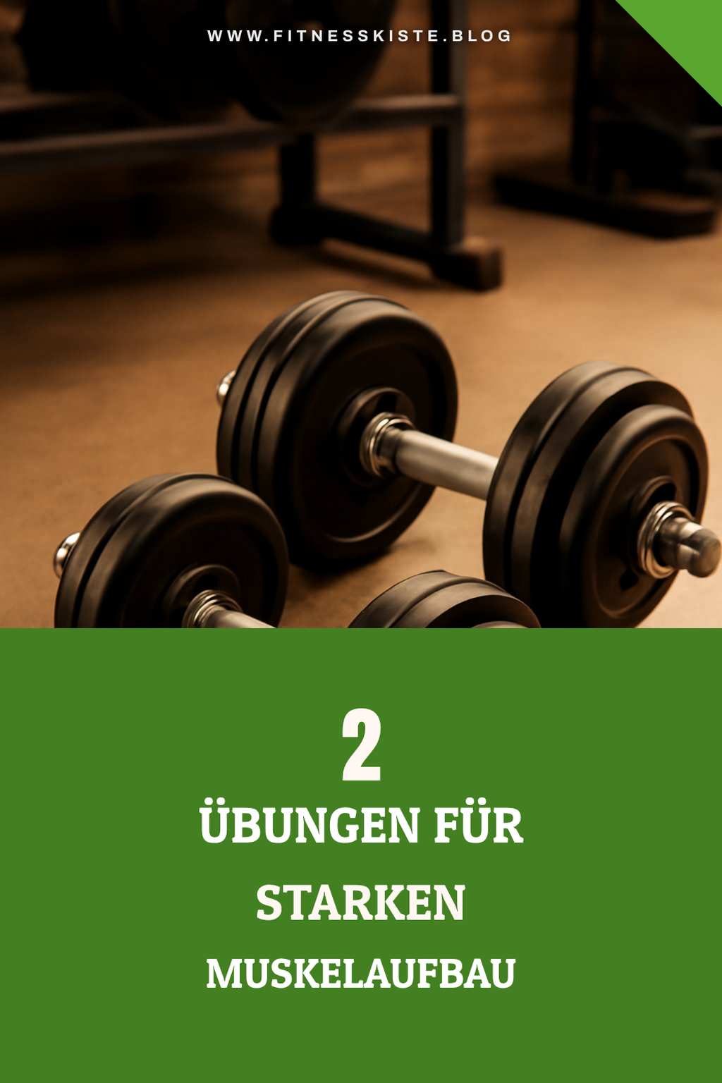 Die besten Übungen mit Kurzhanteln für Muskelaufbau