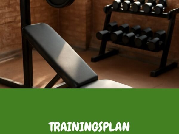 Trainingsplan für Zuhause: So trainierst du ohne Studio