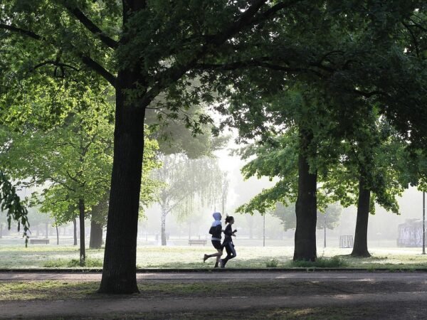 Joggen bei Regen Kleidung Tipps: der Ablauf für jeden Tag