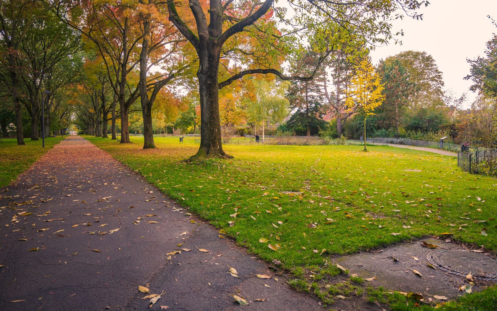 Joggen im Herbst: der Ablauf für jeden Tag